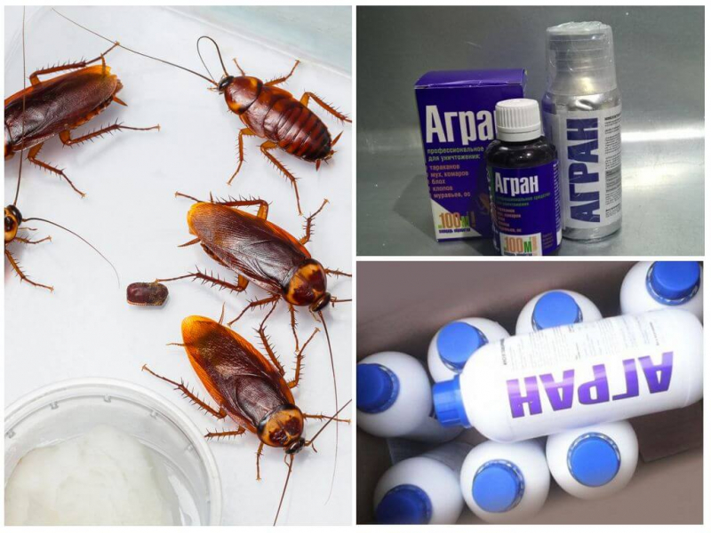 Средство Агран от тараканов: отзывы, инструкция по применению