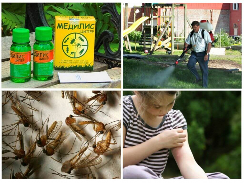 Средство Медилис-ципер от комаров, клопов, тараканов, блох: инструкция