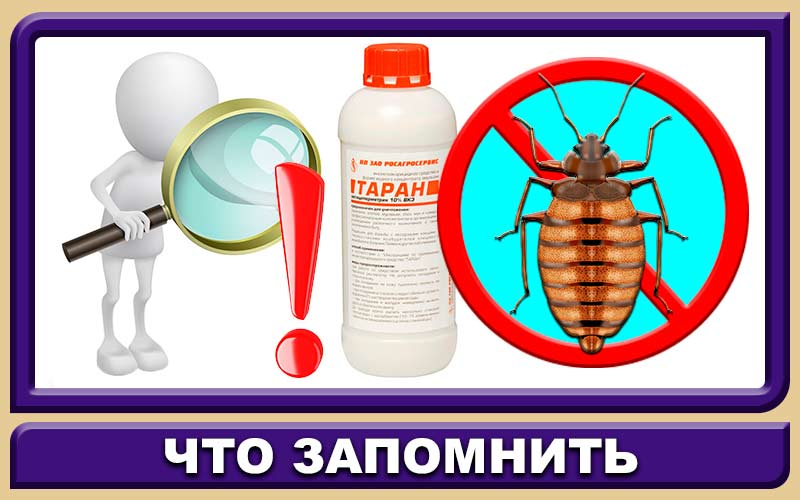 «Барабан» от клопов - действенный способ избавиться от надоедливых насекомых: клопов, тараканов и других