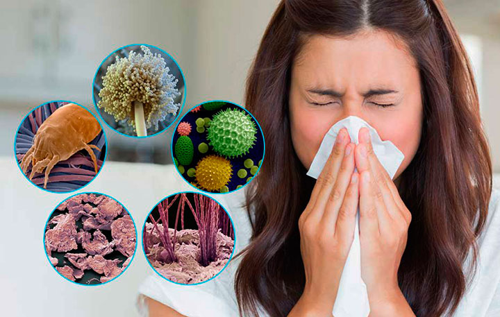 Аллергия на пылевых клещей: симптомы и лечение