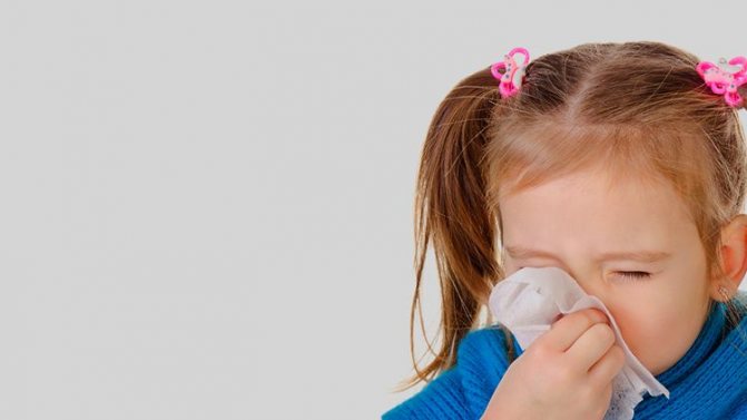 Аллергия на клещей домашней пыли: симптомы и лечение кожи (в том числе у детей)