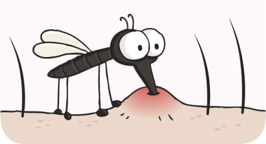 Аллергия на укусы комаров у детей и взрослых: симптомы (фото), как вылечить аллергическую реакцию