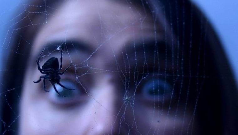 Арахнофобия — боязнь пауков: причины, симптомы, лечение