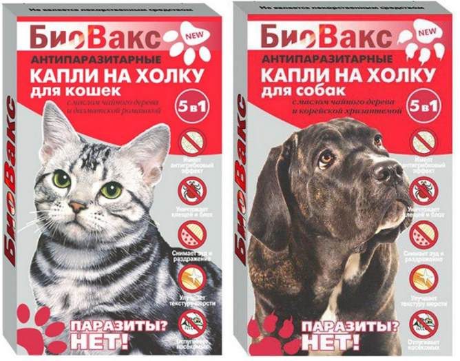 Биовакс для кошек: линейка продуктов и их эффективность
