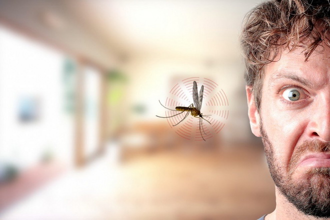 Что делать, если в ухо попало насекомое: первая помощь