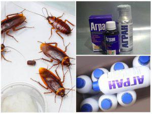 Эффективное средство от тараканов в квартире: обзор лучших методов борьбы