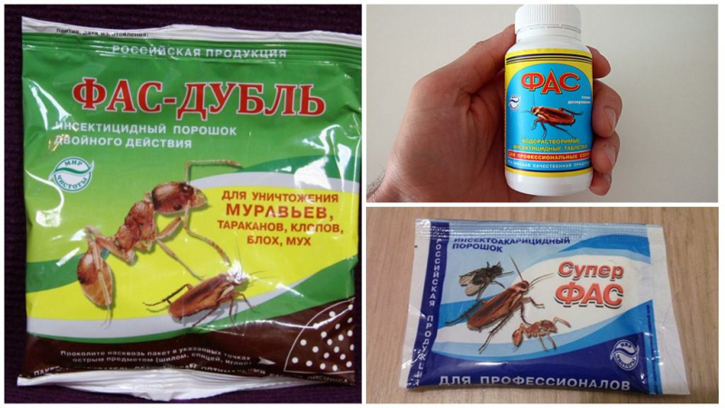 Фас от тараканов: применение порошка, таблеток, геля в домашних условиях