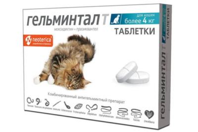 Гельминтал для кошек: инструкция по применению, лекарственные формы и возможные побочные эффекты