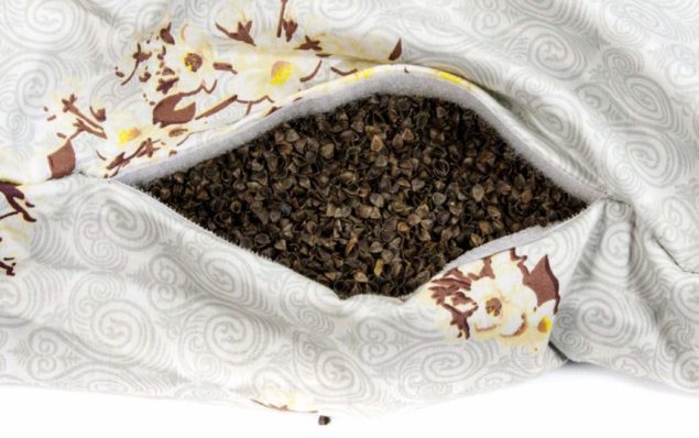 Клещи на подушках: признаки, как от них избавиться, методы и препараты, описание насекомого и фото