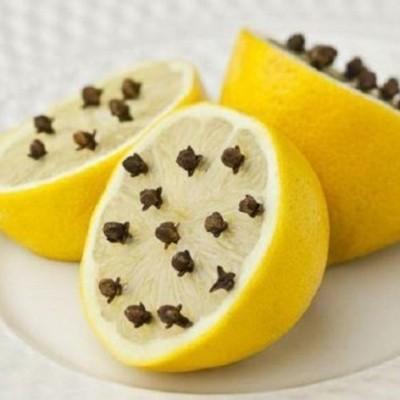 Лимон и гвоздика от мошек — отзывы и описание
