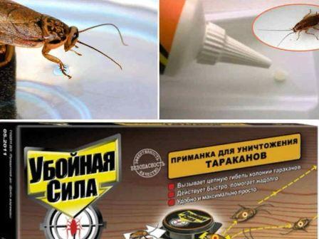 Ловушки и гель для тараканов Убойная сила: отзывы, описание