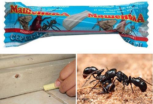 Мел Машенька от тараканов: как пользоваться, средства защиты, отзывы
