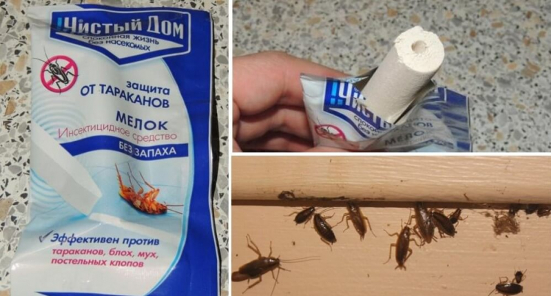 Мел Машенька от тараканов: как пользоваться, средства защиты, отзывы