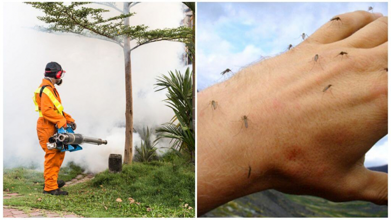 Обработка участка от комаров и клещей: ТОП лучших средств от комаров в стране
