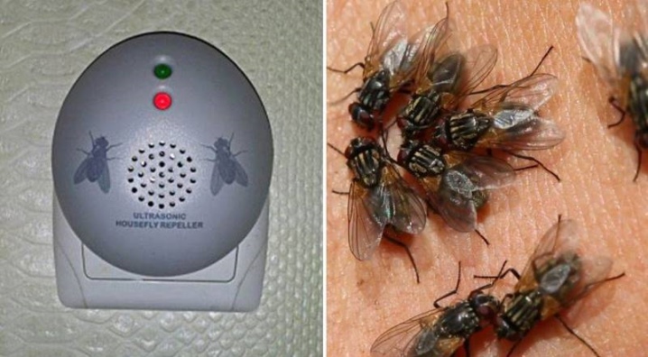 Ультразвуковой электронный отпугиватель мух - отзывы, инструкция по применению