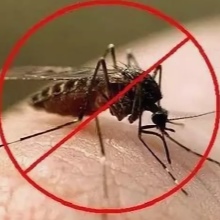 Сделать средство от комаров в домашних условиях: лучшие рецепты