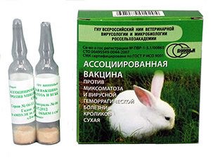 Прививки кроликам: что и когда делать, схема прививок новичкам