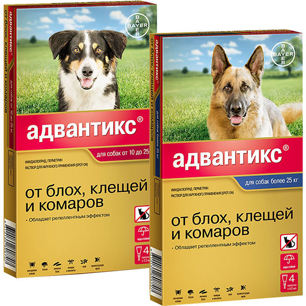 Средство от клещей для собак: капли, спреи и таблетки, народные рецепты обработки