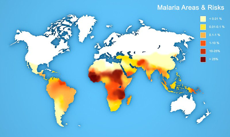 Укус малярийных комаров – отек, пятна, аллергия и зуд от укусов комаров, чем их мазать?