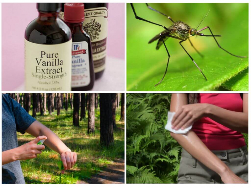 Ванилин от комаров — рецепты для детей и взрослых