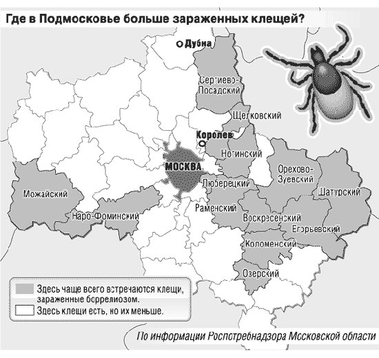 Клещи в Москве: опасные районы Москвы на карте 2021